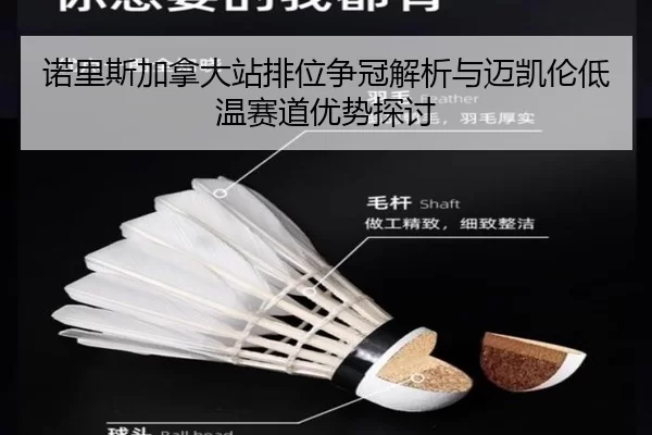 诺里斯加拿大站排位争冠解析与迈凯伦低温赛道优势探讨（xingkong）
