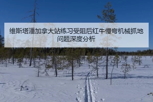 维斯塔潘加拿大站练习受阻后红牛慢弯机械抓地问题深度分析